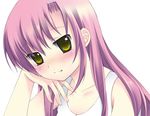  blush chany hayate_no_gotoku! katsura_hinagiku long_hair lowres pink_hair solo yellow_eyes 