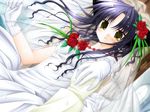  blue_eyes blush bridal_veil bride dress flower game_cg gloves pure_pure red_flower red_rose rose sakurazawa_izumi solo tobari_(pure_pure) veil wedding_dress yellow_eyes 