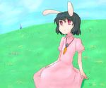  7c black_hair blush carrot_necklace collar day field full_body grass inaba_tewi kneeling looking_afar outdoors plant puffy_short_sleeves puffy_sleeves red_eyes short_hair short_sleeves solo touhou 