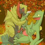  argon_vile haxorus pokemon sceptile tagme 