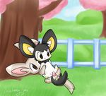  chibitracy emolga minccino pokemon tagme 