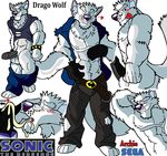  archie_comics drago_wolf sonic_team tagme 