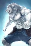  anthro aotsuki091 bara belt biceps big_muscles blue_background blue_eyes clothed clothing fangs feline fur furry grey_eyes grey_fur grey_hair hair half-dressed lion male mammal mane muscle muscles open_mouth pecs pink_nose plain_background pose shorts sky_(artist) solo standing teeth toned tongue topless vein white_fur white_lion 
