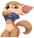  anthro big_ears canine clothing disney embarrassed fennec finnick fox kuuneho looking_at_viewer male mammal no_genitals solo standing undressing zootopia 