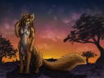  canine female fox foxtaur green_eyes looking_at_viewer mammal naira nude outside sitting solo taur 