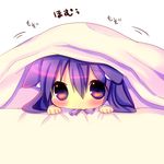  akemi_homura animal_ears blanket blush cat_ears chibi chocolat_(momoiro_piano) commentary_request hiding homu kemonomimi_mode magical_girl mahou_shoujo_madoka_magica purple_eyes purple_hair solo 