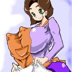  1girl apron ass barapi bent_over blouse breasts brown_eyes brown_hair bust cleavage curvy dress erect_nipples gigantic_breasts green_eyes green_hair happy holding housewife huge_breasts large_breasts light_smile long_sleeves looking_at_viewer lowres medabots medarot medarots milf nipples profile shirt short_hair skirt slippers smile solo taut_clothes tenryou_chidori upper_body 