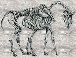  bone equine genderless hooves hose mammal miyukitty monochrome multi_limb multiple_legs norse_mythology skeleton skull sleipnir solo tail 