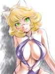  animal_ears blonde_hair breasts casual_one-piece_swimsuit cat_ears cleavage glasses large_breasts one-piece_swimsuit original solo swimsuit ueyama_michirou 