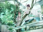  air_conditioner animal_ears cat_ears fence in_tree multiple_girls nozomi_fuuten original school_uniform serafuku sitting sitting_in_tree stairs tail tree urban wallpaper 