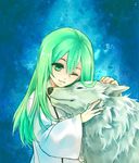  androgynous bad_id bad_pixiv_id enkidu_(fate/strange_fake) fate/strange_fake fate_(series) green_eyes green_hair long_hair male_focus one_eye_closed robe sanme solo wolf 