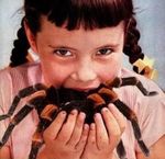  braids creepy dress eating female hairy spider tarantula young 