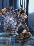  anthro arm_ring ashalind canid canine canis clothed clothing fur grey_fur lantern loincloth male mammal moon outside solo topless tree wolf 