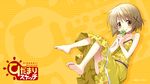  aoki_ume dress hidamari_sketch summer_dress wallpaper yuno 