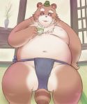  2014 anthro balls barely_visible_balls barely_visible_genitalia belly blush brown_fur canid canine clothing fundoshi fur hat humanoid_hands japanese_clothing lako male mammal moobs navel nipples overweight overweight_male raccoon_dog sitting solo tanuki underwear 