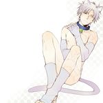  animal_ears black_eyes cat_ears cat_tail collar fate/zero fate_(series) fingerless_gloves gloves grey_eyes heterochromia lowres male_focus matou_kariya nude pinki_(shounenkakuseiya) solo tail white_hair 