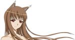  animal_ears horo spice_and_wolf transparent_png vector_trace 