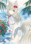  animal_ears bad_id bad_pixiv_id beach flower green_eyes hair_flower hair_ornament highres long_hair looking_at_viewer looking_back mizunashi_kenichi original panties school_uniform serafuku skirt solo striped striped_panties tail underwear wading 