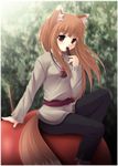  animal_ears brown_hair eating holo long_hair red_eyes solo spice_and_wolf tail wolf_ears yokuran 