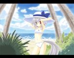  animal_ears artist_request bikini day hat inubashiri_momiji solo swimsuit tail touhou wolf_ears 