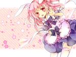  animal_ears bunny_ears maid thighhighs yuh 