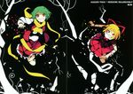  crease ideolo kazami_yuuka medicine_melancholy neko_worki touhou 