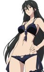  bikini cleavage infinite_stratos orimura_chifuyu swimsuits transparent_png vector_trace 