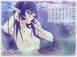  bubuzuke calendar monster_girl nipples onsen sake vanadis wallpaper 
