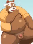  2015 anthro balls belly blue_background brown_fur clothing flaccid fur humanoid_hands lako male mammal moobs nipples overweight overweight_male penis robe simple_background smoking solo ursid 