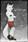  actavius_longfellow arctic_fox coy_look fanta_(artist) folded_arms looking_at_viewer snowy standing 