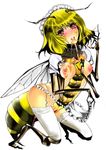  antennae apron artist_request bee bee_girl blonde_hair breasts brown_eyes garter_straps garters honey insect insect_girl legwear monster_girl multiple_arms nipples pussy stinger stockings thighhighs vagina wings 