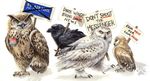  bird blotch crow demonstration feral group on_strike owl placard protest 