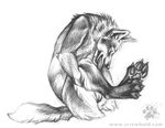  animal_genitalia anthro autofellatio blotch canine gay hindpaw licking male mammal masturbation monochrome oral paws penis plain_background pose solo sucking tongue white_background wolf 