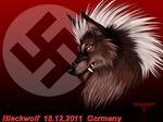  blackwolf canine fangs male mammal nazi scar solo swastika wolf 