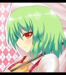  bad_id bad_pixiv_id green_hair kazami_yuuka parasol red_eyes shinekalta short_hair solo touhou umbrella 