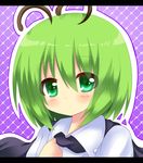  bad_id bad_pixiv_id cape green_eyes green_hair shinekalta short_hair solo touhou wriggle_nightbug 