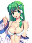  bra breasts collarbone detached_sleeves frog green_eyes green_hair hair_ornament kochiya_sanae large_breasts lingerie long_hair simple_background snake solo tanakana tnk touhou underwear underwear_only upper_body white_background 