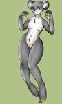  breasts female fortuna green_background green_eyes koala marsupial nude plain_background pussy solo 