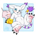  2007 anus blue_eyes blush breasts butt chubby claws digimon female gatomon hindpaw inuki leaning_back looking_at_viewer on_back overweight paw_gloves pawpads paws raised_leg sitting small_breasts spread_legs spreading tail tail_markings tail_ring tokomon whiskers white 