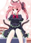  alternate_costume alternate_hairstyle animal_ears bad_id bad_pixiv_id bare_legs bow breasts cat_ears cat_tail hair_bow highres kaenbyou_rin kuromari_(runia) large_breasts looking_at_viewer multiple_tails red_eyes red_hair short_hair sitting solo tail touhou twintails 