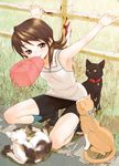  against_fence armpits baseball_cap bike_shorts brown_eyes brown_hair camisole cat fence field grass hat kawata_hisashi miidera_tsukuyo mouth_hold short_hair smile solo squatting tasogare 