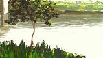  bad_pixiv_id bird bridge copyright_request no_humans river riverbank scenery toe_(gardengirls) tree water 