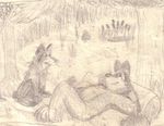  canine contented dog lazy lying mammal raccoon sketch 