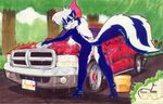  anubis_(artist) anus blue_eyes blue_fur bow breasts butt car_wash female fur looking_at_viewer looking_back mammal nude pussy raised_tail side_boob skunk solo truck wet wildlifers 
