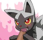  bestiality blush canine ears edit enon fellatio feral human hyena interspecies male mammal nintendo oral oral_sex penis pok&#233;mon pok&#233;philia pok&eacute;mon pokephilia poochyena red_eyes saliva sex size_difference source_request teeth uncensored unknown_artist video_games yellow_eyes 