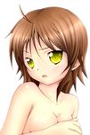 absurdres breasts brown_hair colorized covering covering_breasts highres nude original rinsu small_breasts solo yellow_eyes 