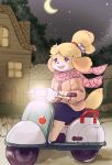  2018 animal_crossing anthro barefoot bell black_nose blonde_hair blush building canine clothed clothing cloud detailed_background dog driving female fully_clothed fur hair hairband house isabelle_(animal_crossing) jacket mammal moon motor_scooter night nintendo open_mouth open_smile outside scarf setouchi_kurage shih_tzu short_hair sitting skirt sky smile solo star starry_sky sweater tree video_games yellow_fur 