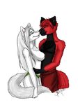  black_fur blue_eyes breasts canine couple duo female fur hug male mammal nipples red_fur rydian til_sunlight_dies white_fur wolf 