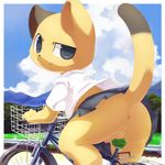  balls bicycle bike broccoli cat clothing crossdressing cub ears eyes feline male mammal mumu nose penis shirt skirt smug solo tail young 