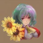  are_(gunnersbloom) brown_background flower green_hair kazami_yuuka light_smile lowres simple_background solo sunflower touhou upper_body 